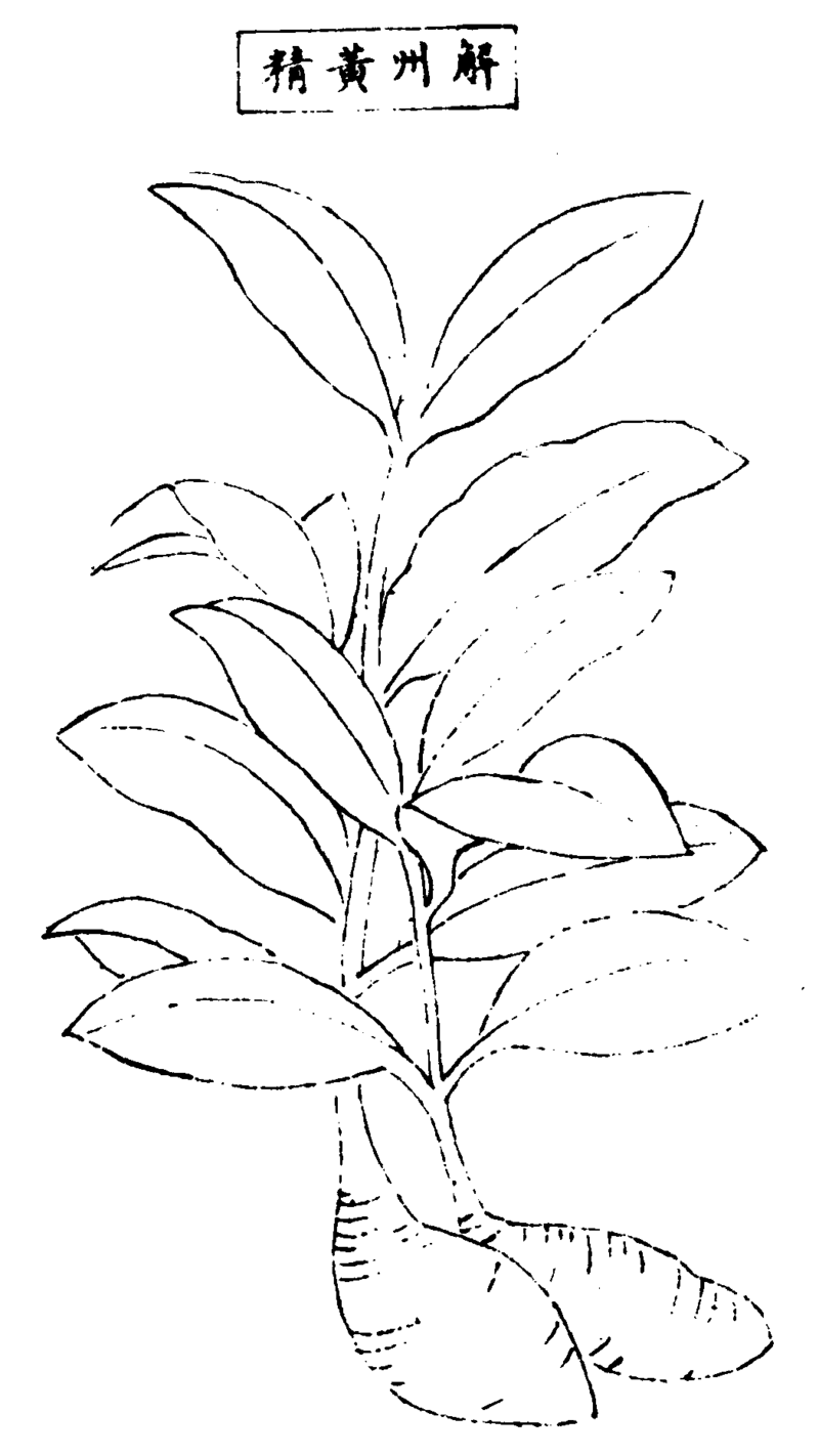 ����ͼ��