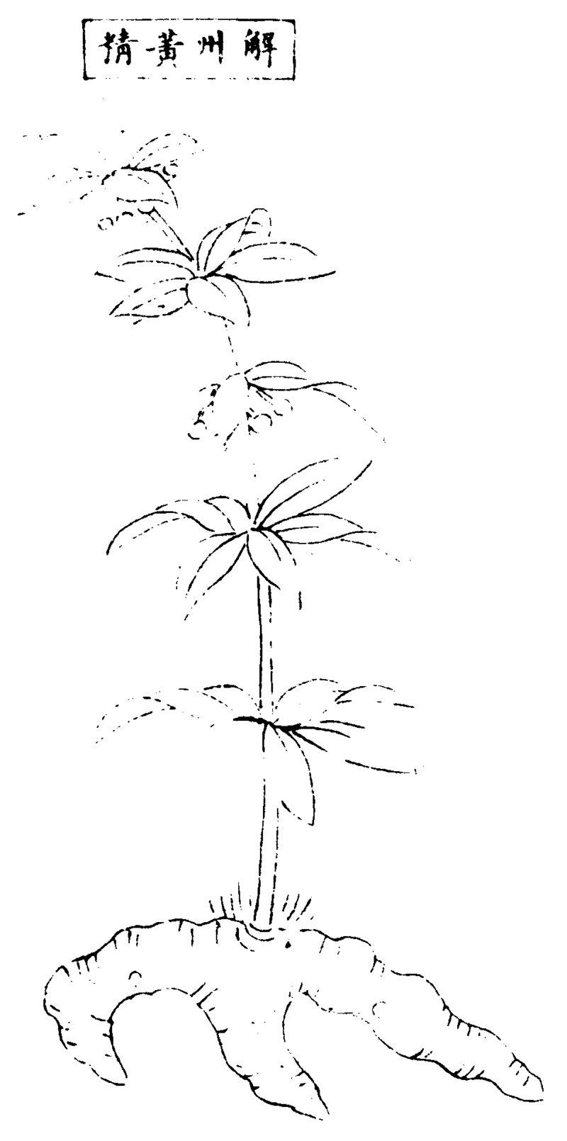 ����ͼ��