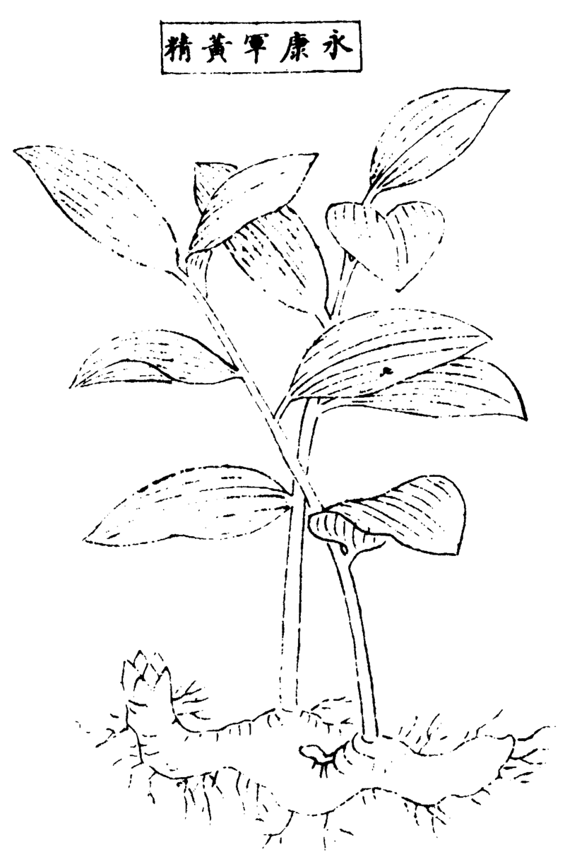 ����ͼ��