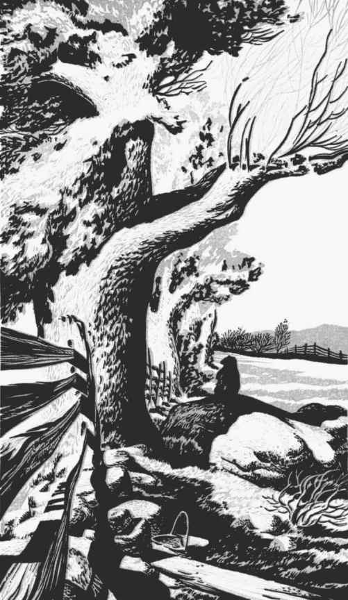 《瓦尔登湖》插图