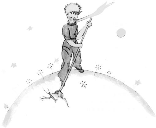 《小王子》插图