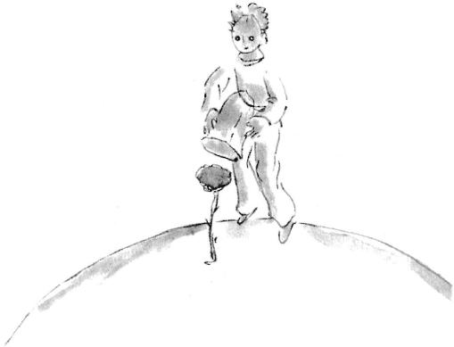 《小王子》插图