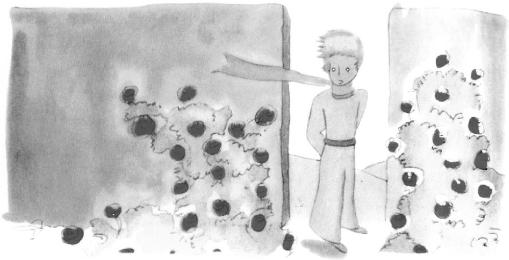 《小王子》插图