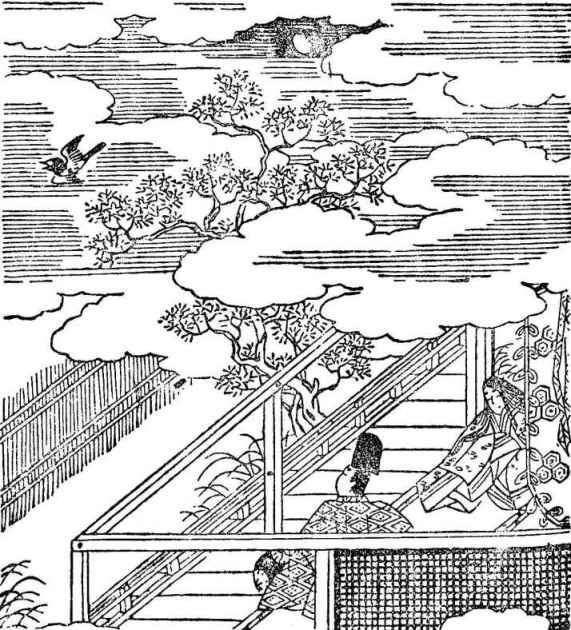 插图