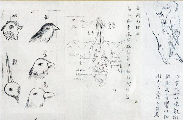 �����ּ�3