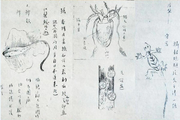 �����ּ�4